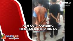 Nekat, ASN di Asahan Curi Kambing dengan Motor Dinas, Pelaku Nyaris Diamuk Massa