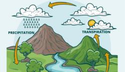 Presipitasi Adalah Proses Jatuhnya Air Hujan, Ini Pengertian, Proses dan Jenis-jenisnya