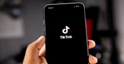 Tips Mudah Pakai Snaptik, Download Video Tiktok Tanpa Watermark