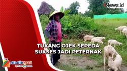 Tukang Ojek Sepeda di Kota Tua Jakarta Sukses jadi Peternak Kambing di Pemalang