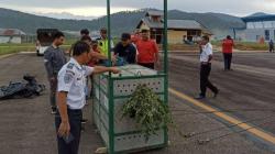 Bestie Si Harimau Sumatera Dilepasliarkan ke Taman Nasional Gunung Leuser