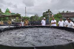 Unik! Desa di Boyolali Ini Dijuluki Kampung Lele, Begini Sejarahnya