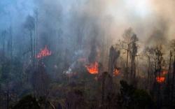 Waspada Karhutla, BMKG Deteksi 4 Titik Panas di Kaltim, Ini Sebaran Wilayahnya