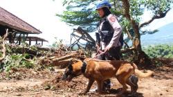 Mengenal Polwan Pawang K9 Polda Jabar Tak Kenal Lelah di Lokasi Gempa Cianjur