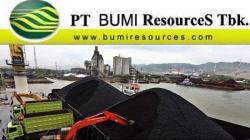 Bumi Resources Kaji Diversifikasi Bisnis, Lirik Ekosistem Kendaraan Listrik  