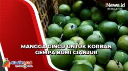 Lewat 1 Kuintal Mangga Gincu, Forum Kepala Desa di Majalengka Ingin Ceriakan Korban Gempa Cianjur<