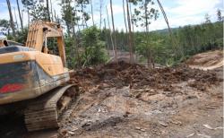 Pemerintah Alokasikan Rp23,7 Triliun untuk IKN Nusantara, Berikut 29 Infrastruktur yang Bakal Dibangun 