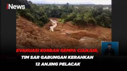 Evakuasi Korban Gempa Cianjur, Tim SAR Gabungan Kerahkan 12 Anjing Pelacak