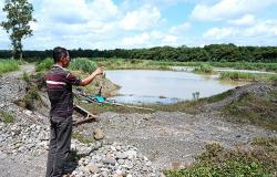   Izin Tambang Rakyat di Sungai Progo Tak Turun, Penambang Minta Sultan Beri Diskresi