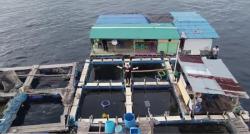 Unik, Ada Warung Makan Ikan Bakar di Tengah Laut, Pembelinya Harus Naik Perahu 