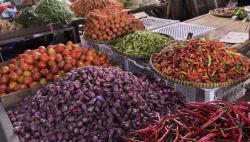 Jelang Natal dan Tahun Baru, Harga Tomat Melejit hingga Rp20.000 per Kg  