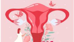 Proses Menstruasi Secara Singkat pada Wanita, Ini 3 Fase Utamanya