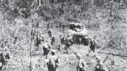 Kisah Perjuangan Arek-Arek Malang Lawan Belanda, Tebangi Pohon untuk Blokade Jalur Tank <