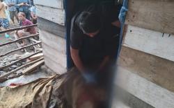  Sadis! Seorang Ibu Tewas Dibacok Tetangga di Hadapan Anak yang Masih Balita