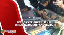 Waspada Teror Bom, Petugas Bandara Sultan Thaha Jambi Temukan Pengunjung Bawa Senapan Angin