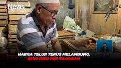 Harga Telur Terus Melambung Tinggi, Rp30 Ribu Per Kilogram