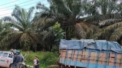 Ambulans Vs Truk di Bangka Selatan, 1 Orang Tewas 4 Lainnya Terluka