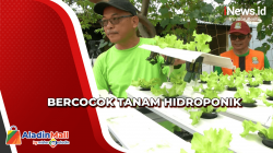 Melihat Warga Aren Jaya Bercocok Tanam Hidroponik, Hasil Panen Diolah Jadi Berbagai Camilan
