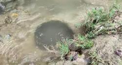 Intip Fenomena Aneh Sumur Misterius di Jombang, Ada Mitos yang Mandi Bisa Kebal