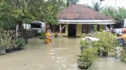 Banjir Terjang 8 Kecamatan di Sergai, Belasan Ribu Rumah Warga Terendam