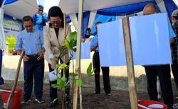 GKR Hemas Sebut Pohon Elemen Penting bagi Kehidupan Manusia<