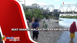 Turun Mandi ke Sungai, Perempuan di Mamuju Diterkam Buaya
