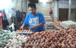Pemkab Gunungkidul Jamin Stok Sembako Aman saat Nataru, Harga Telur Merangkak Naik 