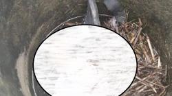 Terduga Pembunuh Siswi dalam Sumur Ditangkap, Polisi: Motif Masih Kami Dalami