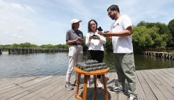 Lindungi Taman Mangrove, Samsonite Luggage Trade-in Sukses Aspal 100.000 Paving Block Daur Ulang