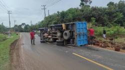 Hindari Pemotor Ibu-Ibu, Truk Muatan 7 Ton Sawit Terguling di Bangka Barat