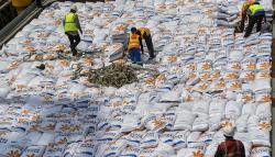Penampakan 5.000 Ton Beras Bulog Impor dari Vietnam Tiba di Jakarta