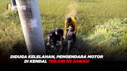 Diduga Kelelahan, Pengendara Motor di Kendal Terjun ke Sawah