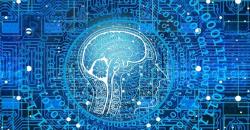 5 Orang Paling Pintar di Dunia, Ada yang Keterima di Universitas Harvard Usia 11 Tahun