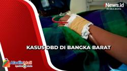 Capai Ratusan Pasien, Inilah Kasus DBD di Bangka Barat