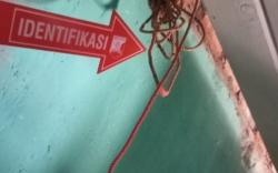 Geger! Mahasiswa di Lubuklinggau Gantung Diri di Plafon Rumah