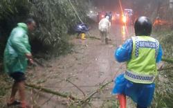 Maribaya KBB Longsor Lagi, Rumpun Bambu Tumbang Tutup Jalan