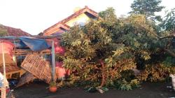 Hujan Deras Disertai Angin Kencang Terjang Pranggong Indramayu, 7 Rumah Rusak <