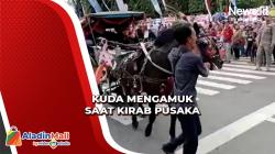 Kirab Pusaka di Purbalingga, Kuda Penarik Andong Mengamuk Lukai 1 Orang