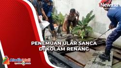 Warga Geger Temukan Ular Sanca di Kolam Renang di Kembangan