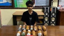 Simpan 14 Paket Ganja, Pemuda di Bangka Tengah Diciduk Polisi