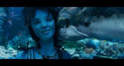 Fakta Menarik Suku Bajo Manusia Laut di Indonesia Jadi Inspirasi Film Avatar 2