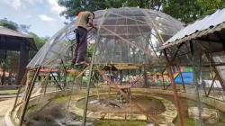 Sambut Libur Nataru, Taman Marga Satwa Seruling Mas di Banjarnegara Dipercantik