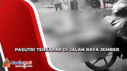 Kecelakaan Maut, Pasutri Warga Jember Tewas di Jalan Raya