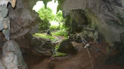 Lukisan Gua Tertua di Dunia Ditemukan di Indonesia, Gambar Apa?