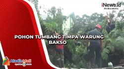 Cuaca Buruk, Pohon Tumbang Timpa Warung Bakso di Makassar