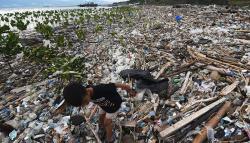 Pantai Palu Tercemar Lautan Sampah, Ancam Tanaman Mangrove