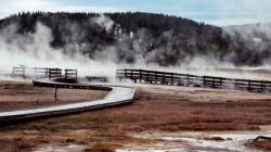 Kebocoran Gas Amonia Sebabkan 15 Orang Dirawat di RS, Pemerintah Nyatakan Situasi Darurat 