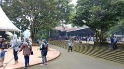 Gubernur Jabar Dukung Pemkot Bandung Kelola Kebun Binatang, Ini Alasannya<