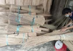 26 Ton Produk Lidi Asal Banten Diekspor ke India<