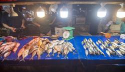 Pasokan Ikan Berkurang akibat Cuaca Buruk